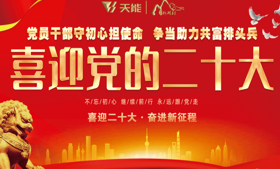 3868laվ(china)ɷ޹˾ - Make It Possible